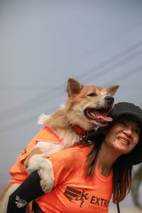 BIB: 
                            <button type="button" onclick="openModal(9857426)" class="btn btn-primary btn-sm float-right btn-popup" data-toggle="modal" data-target=".modal-high-quality">
                        <i class="fas fa-shopping-cart"></i> Add to Cart
                    </button>
                                            <button type="button" onclick="isThisMe(9857426, true)" class="btn btn-success btn-sm float-right btn-popup btn-isme hidden" data-toggle="tooltip" data-placement="bottom" title="นี่คือรูปของคุณใช่ไหม คลิกที่นี่เพื่อเอาเข้าอัลบั้ม">
                        <i class="fas fa-plus"></i> Add to album
                    </button>
                    <button type="button" onclick="isThisMe(9857426, false)" class="btn btn-warning btn-sm float-right btn-popup btn-isnotme hidden">
                        <i class="fas fa-ban"></i> Remove from album
                    </button>